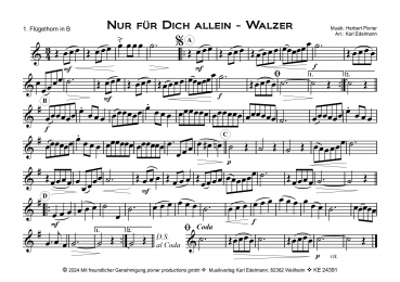 Nur für Dich allein - Walzer